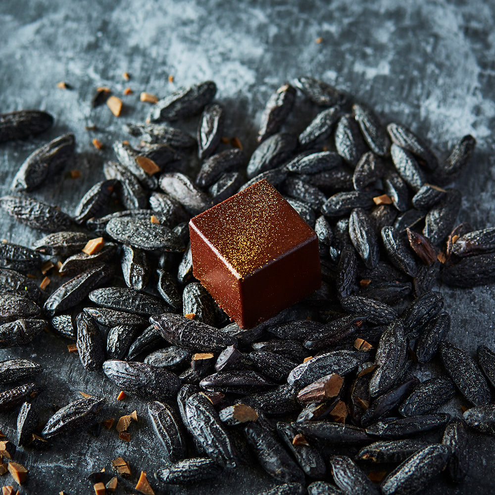 Terrine chocolate cubes (assortment: chocolate, tonka beans, matcha)