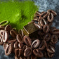 Terrine chocolate cubes (assortment: chocolate, tonka beans, matcha)